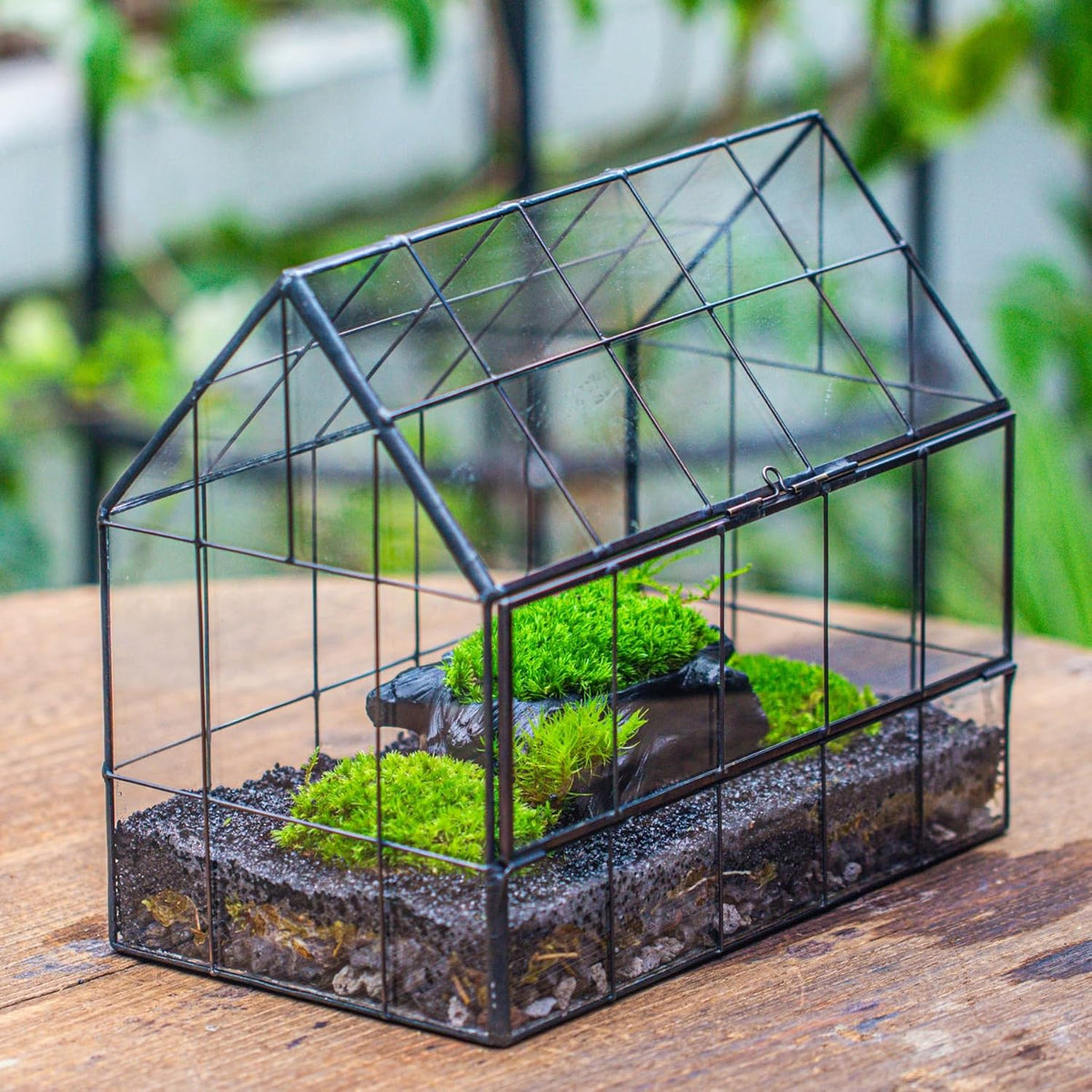 NCYP Geometric Glass Terrarium with Front Opening Door, House Shape Closed Micro Landscape Planter