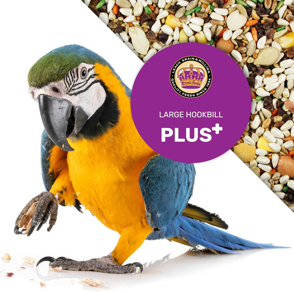 Large Hookbill Plus 5 Lbs, Bird Food for Large Hookbill, Premium Bird Seeds, Supports Growth Energy