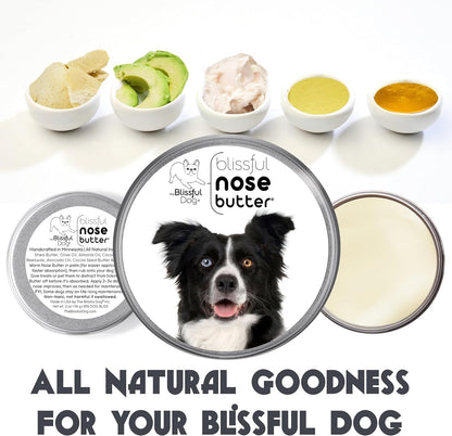 The Blissful Dog Border Collie Nose Butter for Dry, Cracked Skin, Lick-Safe Dog Nose Balm with