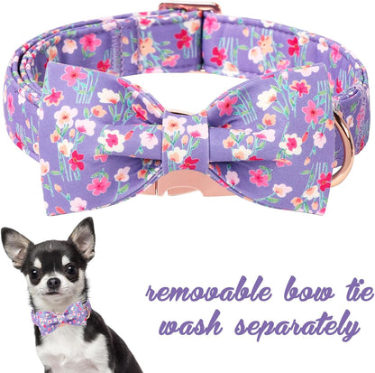 Unique style paws Cartoon Dog Collar with Bow Spring Summer Collar with Mutiflower for Small Medium