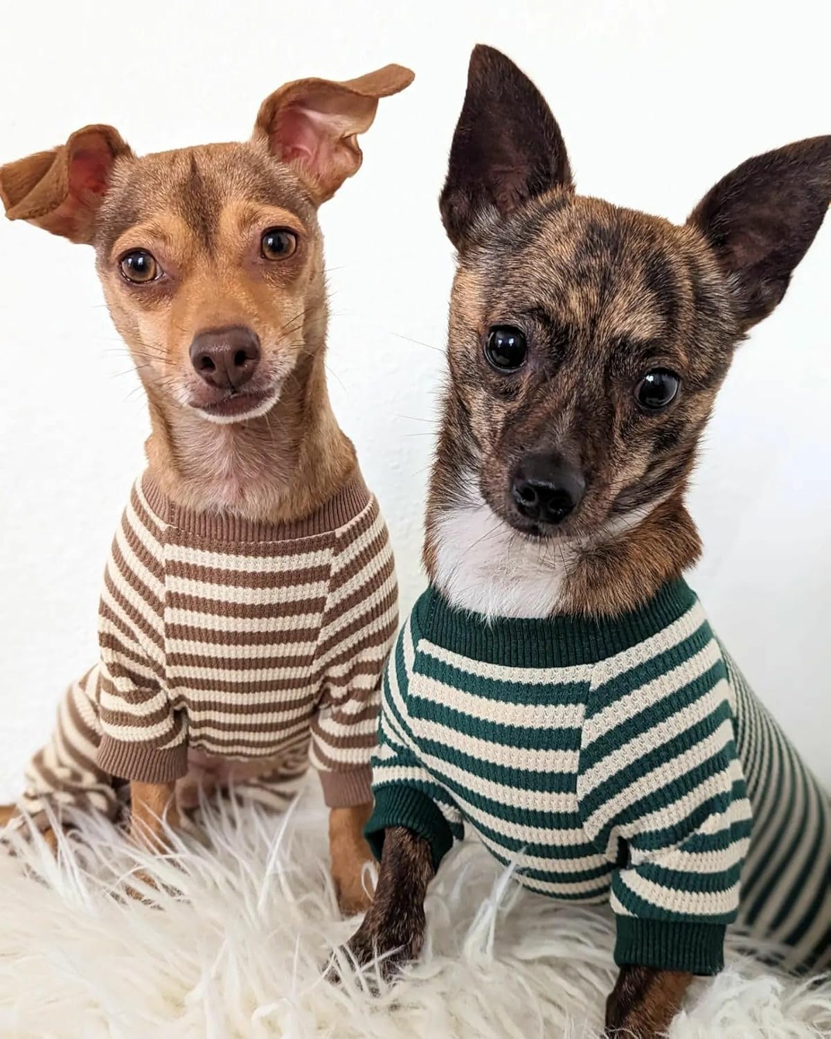 Fitwarm Green and White Striped Dog Pajamas, Waffle Dog Clothes for Small Dogs Girl Boy, Puppy