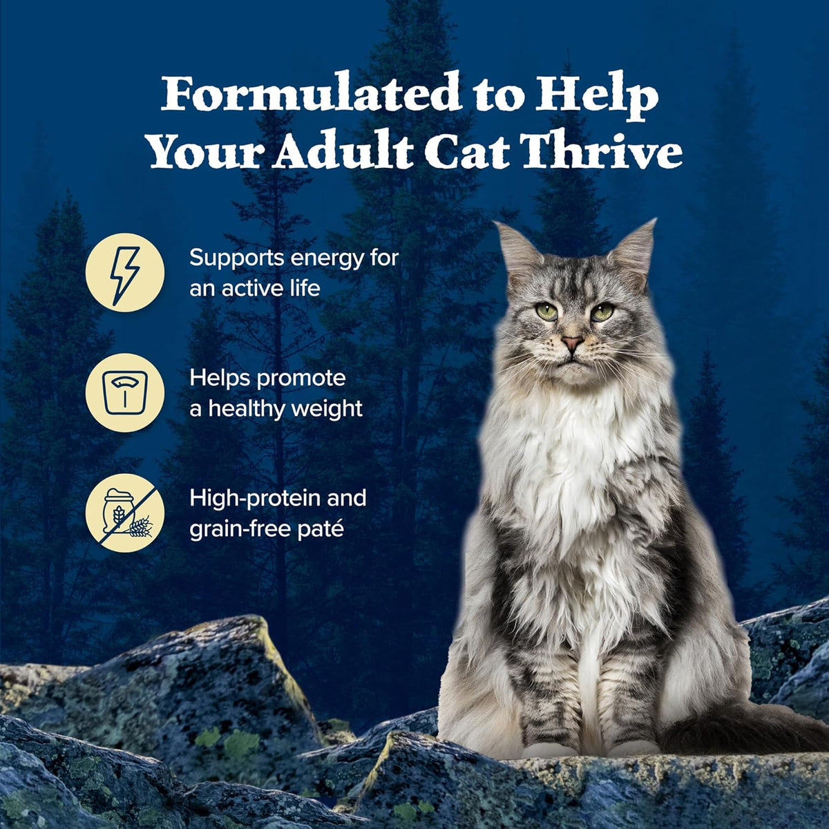 Blue Buffalo Wilderness High-Protein, Grain-Free Natural Wet Food for Adult Cats, Chicken Paté