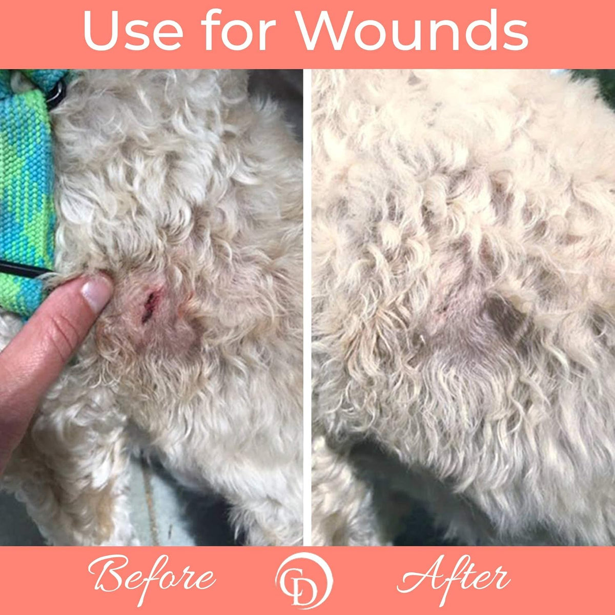 COAT DEFENSE Trouble Spot Drying Paste - Made in USA - 5 Oz Dog & Cat Skin Care, Itchy Skin &