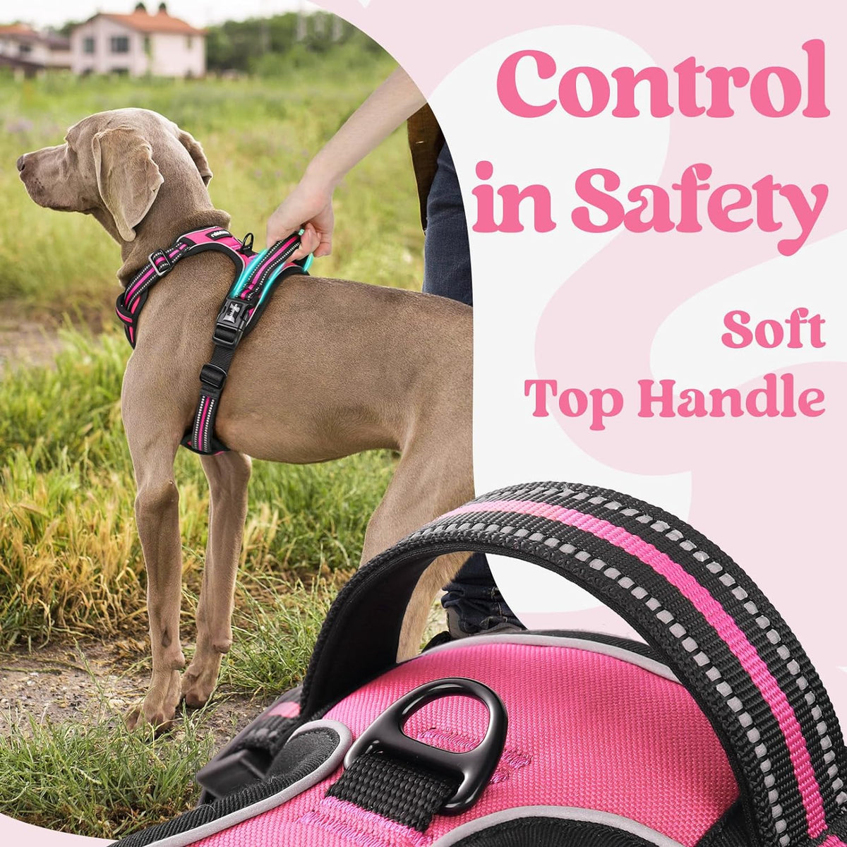 rabbitgoo Dog Harness Medium Sized, No Pull Pet Harness with 3 Buckles, Adjustable Soft Padded Vest