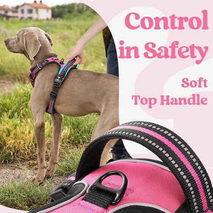 rabbitgoo Dog Harness for Large, No Pull Pet Harness with 3 Buckles, Adjustable Soft Padded Vest