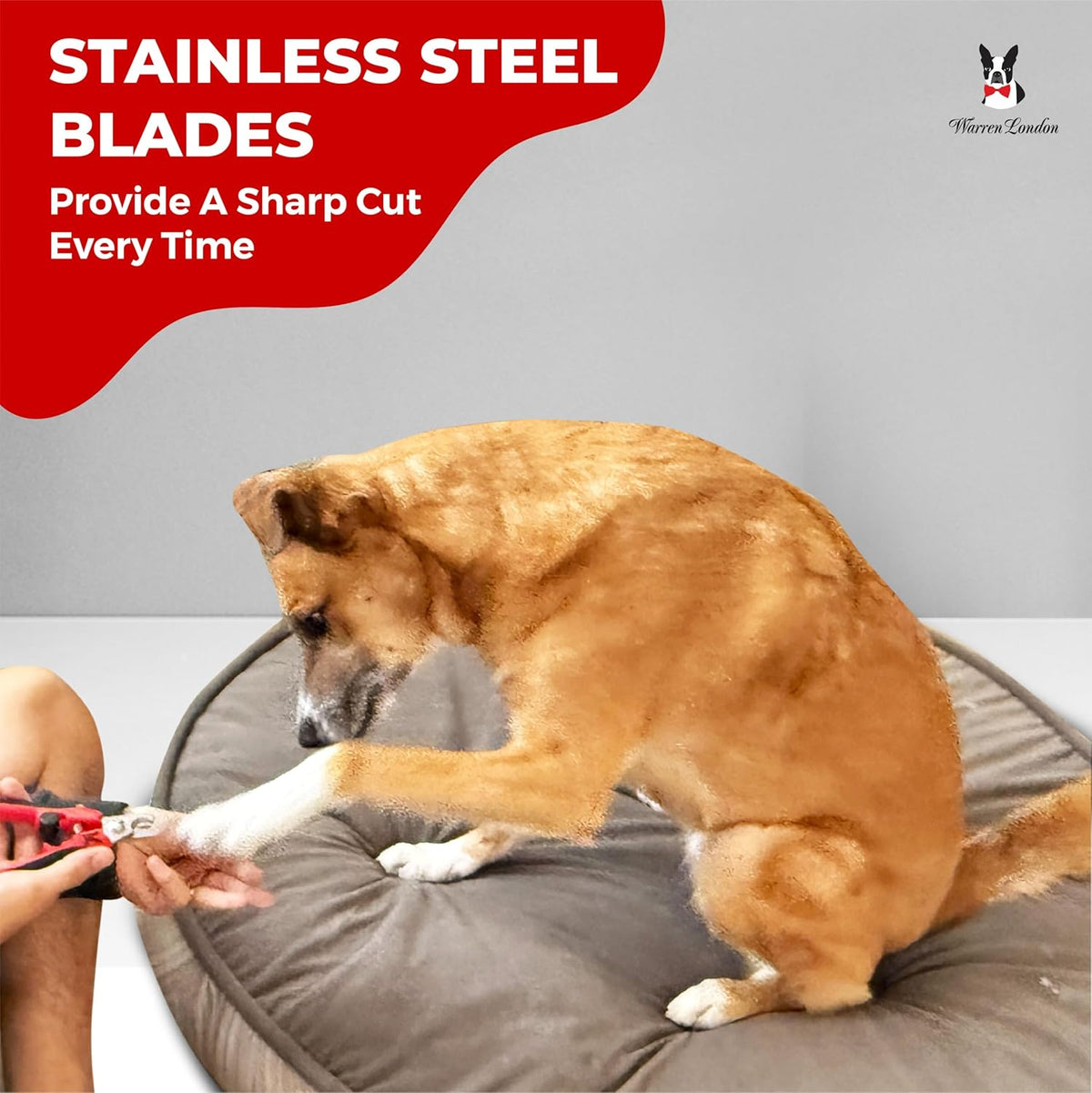 Warren London Dog Nail Clippers – Large Breed Nail Trimmer with Stainless Steel Blade, Safety Guard