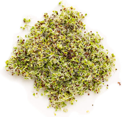 Handy Pantry Organic Birdseed - 1 Lb - Sprouting Bird Seed Mix for Small, Medium & Large Birds