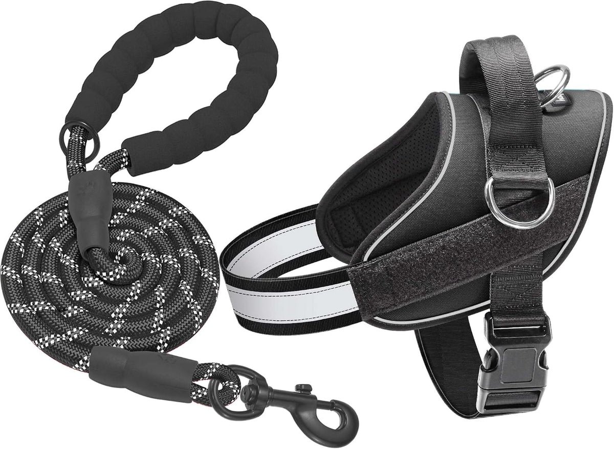 Haapaw Essential Dog Harness, No Pull Pet Vest with 3 Leash Clips, No Choke, Reflective, Adjustable
