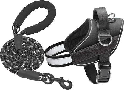 Haapaw Essential Dog Harness, No Pull Pet Vest with 3 Leash Clips, No Choke, Reflective, Adjustable
