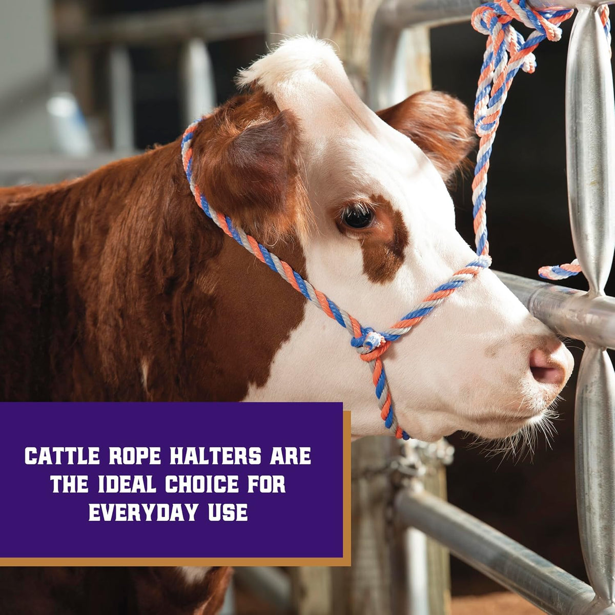 Weaver Livestock Braided Poly Rope Cattle Halter, Adjustable, Modern Style Cow Calf Halter