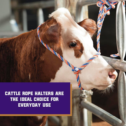 Weaver Livestock Braided Poly Rope Cattle Halter, Adjustable, Modern Style Cow Calf Halter