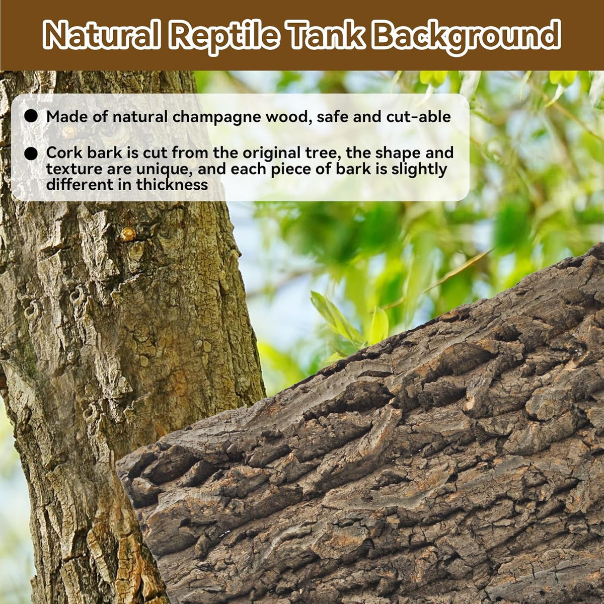 2PCS Natural Cork Terrarium Background,11.81 x 11.81 Inch Reptile Bark Background 3D Bearded Dragon