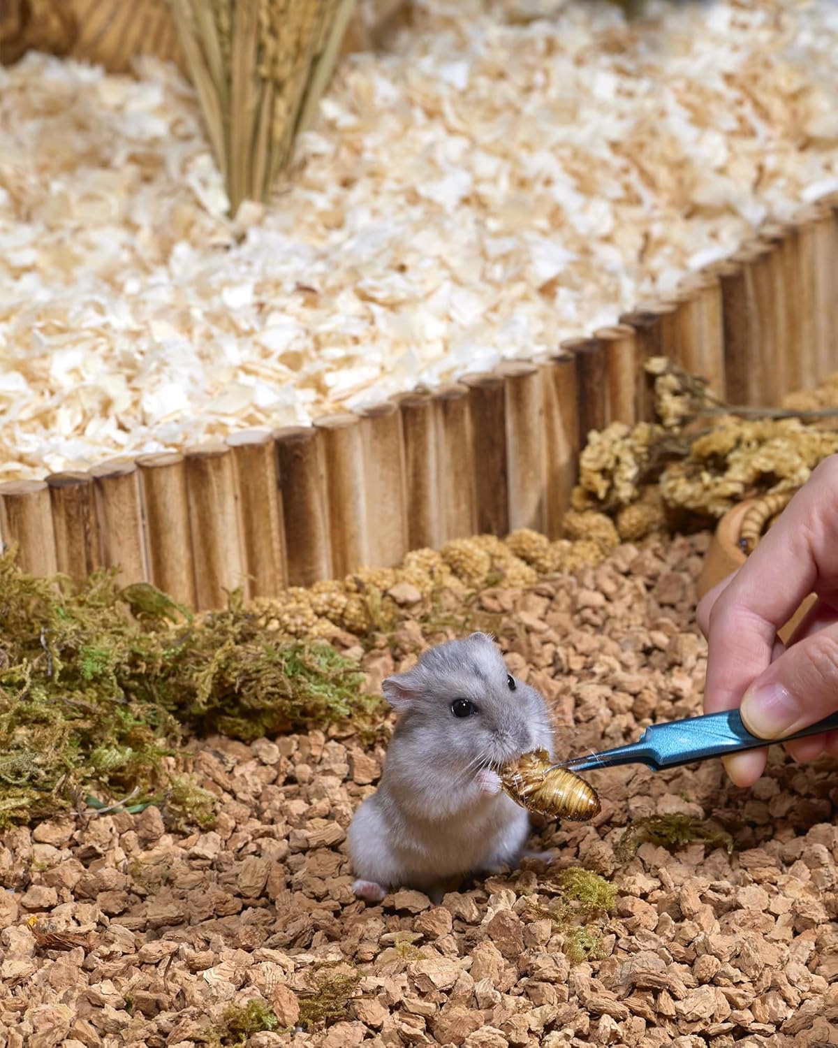 Niteangel Small Animal Snack & Treats - Small Critter Natural Treat for Dwarf Syrian Hamsters