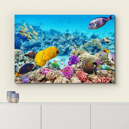 wall26 Canvas Print Wall Art Vibrant Teal Underwater Fish Coral Reef Nature Animals Photography