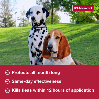 K9 Advantix II Small Dog Vet-Recommended Flea, Tick & Mosquito Treatment & Prevention | Dogs 4-10