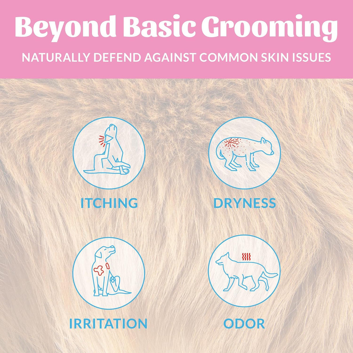SKOUT'S HONOR Probiotic Deodorizer Spray for Pets- Hydrating Daily-Use with Avocado Oil & Omega-3s