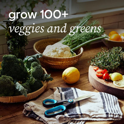Farmstand Starter Kit with Glow Rings and 30 Seedling Credits | Family Hydroponic Growing System