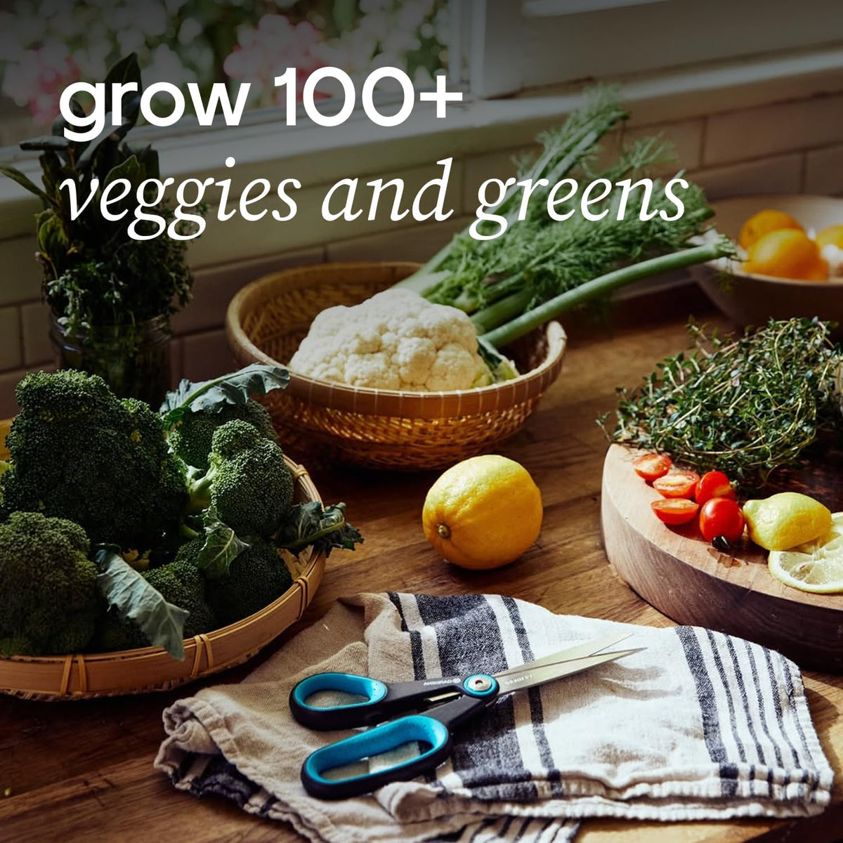Farmstand Starter Kit with Glow Rings and 12 Seedling Credits | Tiny Hydroponic Growing System Kit