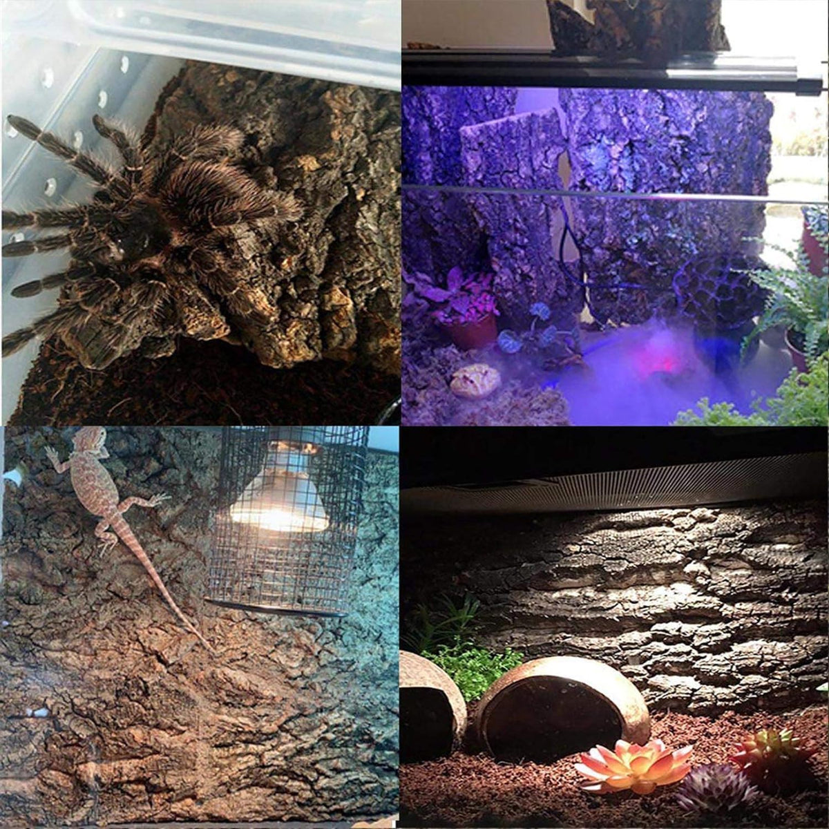 4PCS Cork Terrarium Background 15.7x11.8in Natural Cork Large Bark Climbing Mat Habitat Decoration