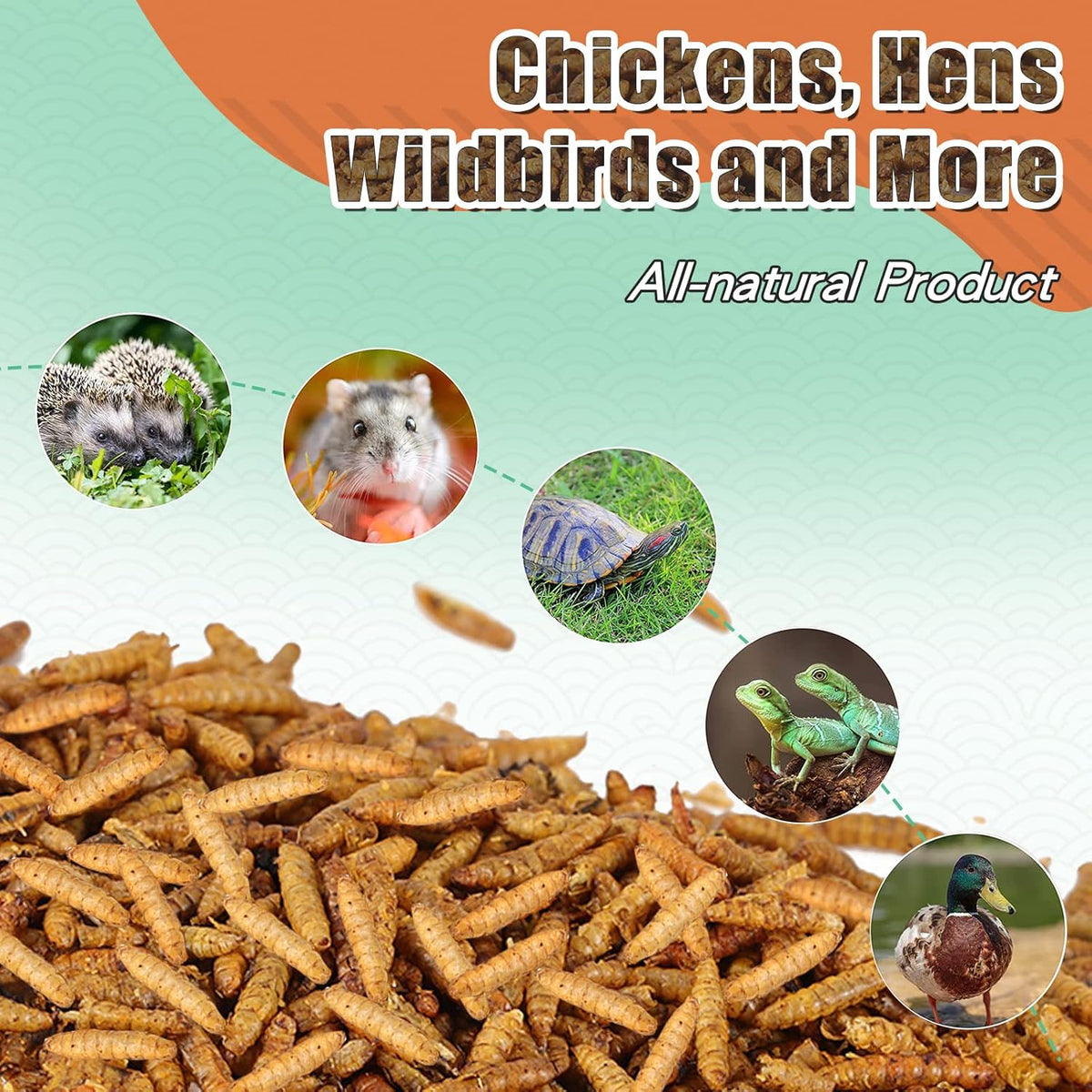 Dried Black Soldier Fly Larvae 22LBS, 85X More Calcium Than Mealworms High-Protein BSF Larvae