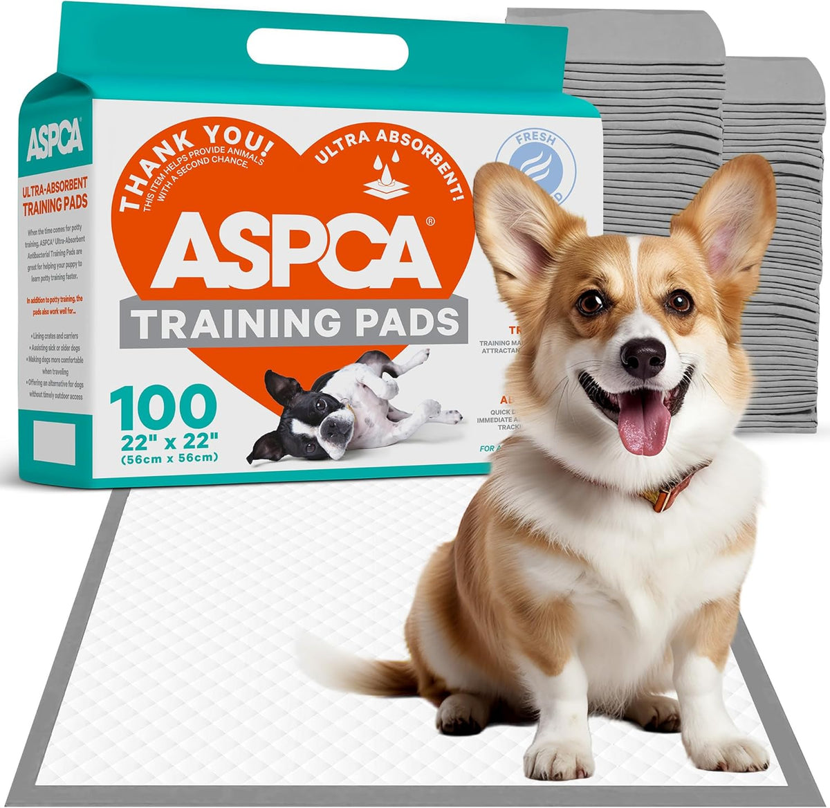 AS62930 Dog Training Pads, Pack of 100, Gray, 22" x 22" - Pack of 100