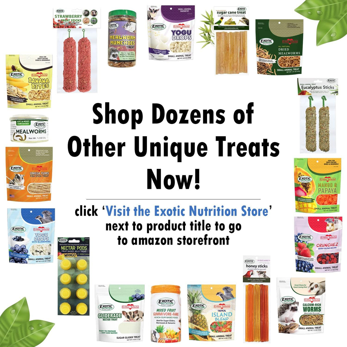 Exotic Nutrition Peas & Carrots 8 oz. - Healthy Natural Mixed Dried Vegetable Treat - for Rabbits