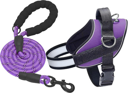 Haapaw Essential Dog Harness, No Pull Pet Vest with 3 Leash Clips, No Choke, Reflective, Adjustable
