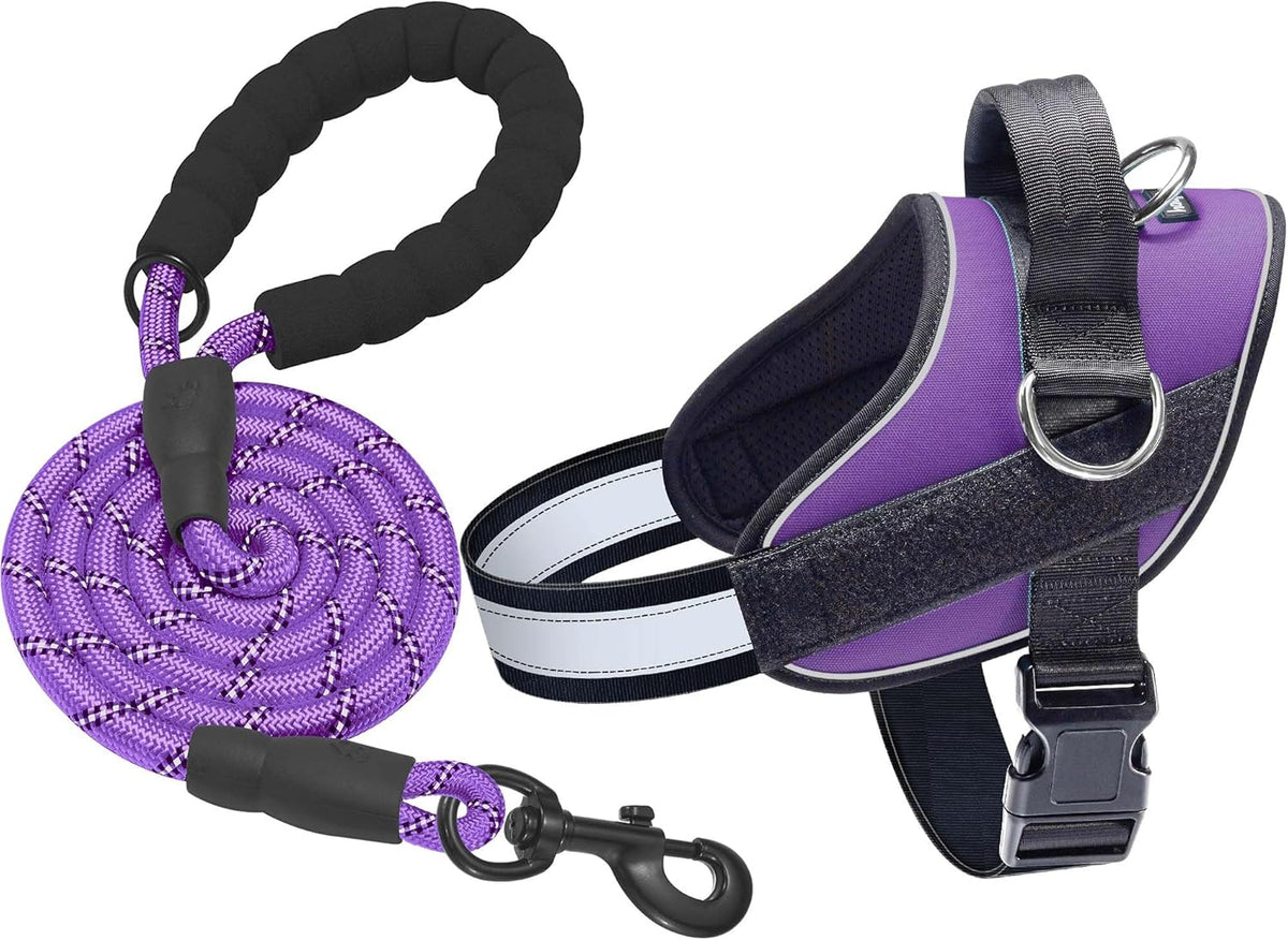 Haapaw Essential Dog Harness, No Pull Pet Vest with 3 Leash Clips, No Choke, Reflective, Adjustable