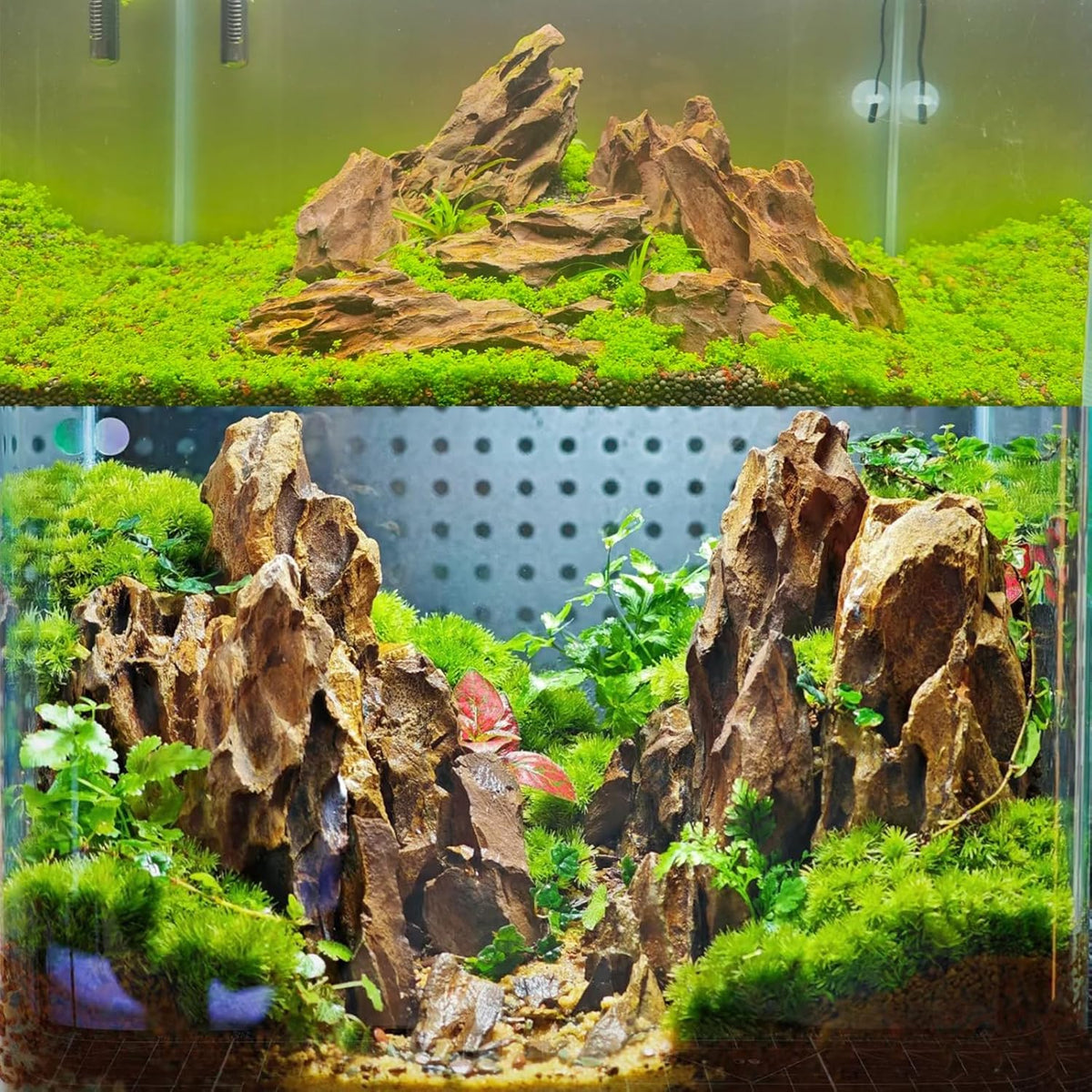 Aquariums Stones Natural Rocks 3Lb Aquarium Rock for Fish Tank