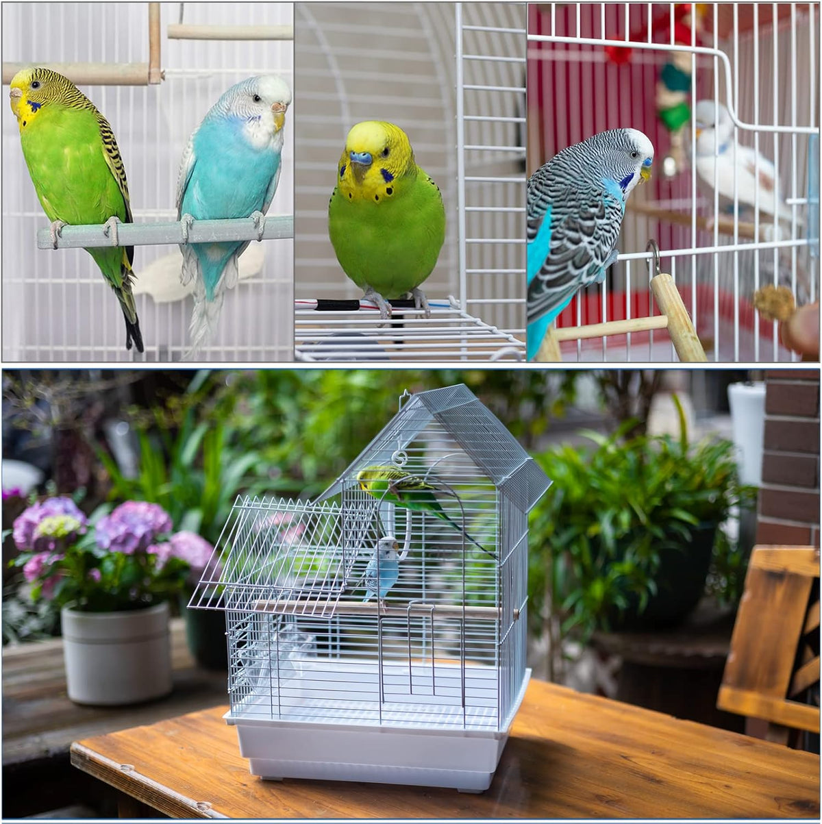 Small Bird Travel Cage - The Lightweight Small Birds Starter Kit with Birdcages and Accessories