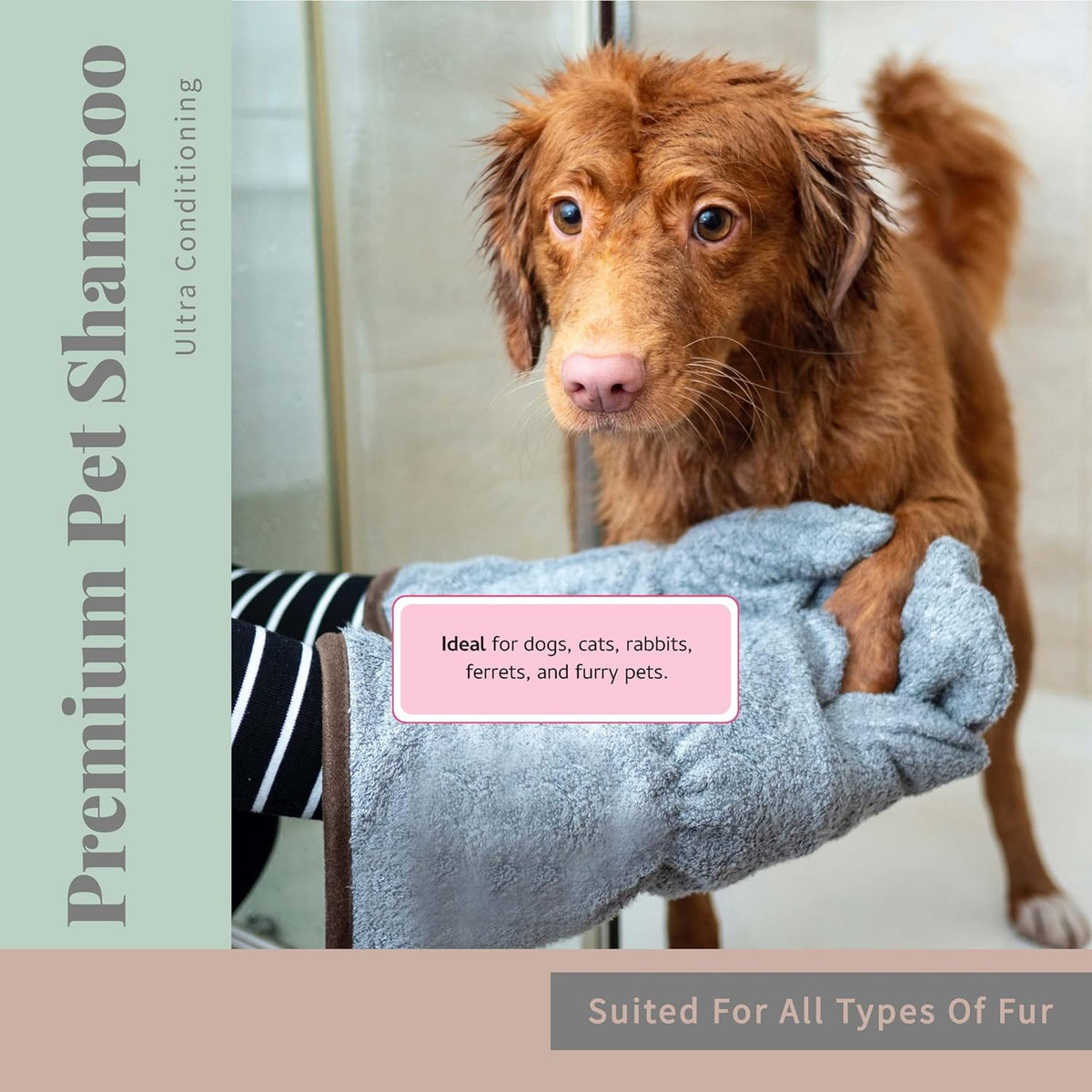 Begley’s No Rinse Waterless Pet Shampoo, Bathless Cleaning, Deodorizing, and Odor Removal for a