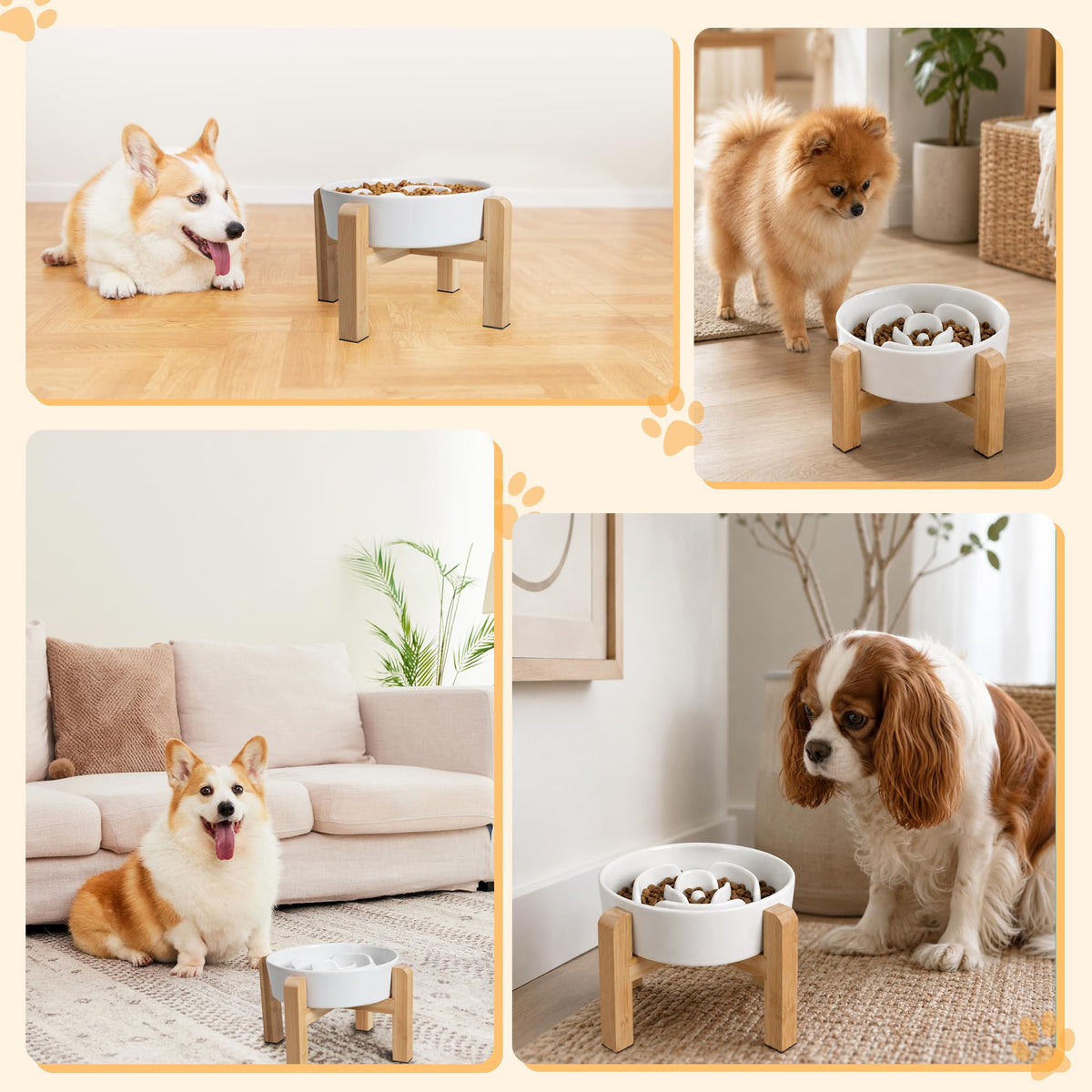 Elevated Slow Feeder Dog Bowl. Chosen for real quality, fits naturally into modern pet homes.