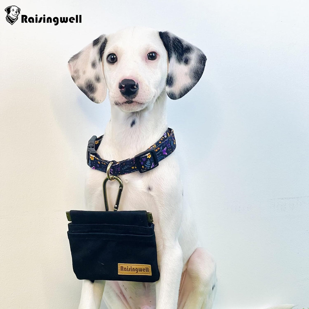 Dog Treat Pouch, Black Pocket Sized Pet Training Pouch, Cotton Fabric, Hand Free Dog Walking Bag