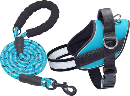 Haapaw Essential Dog Harness, No Pull Pet Vest with 3 Leash Clips, No Choke, Reflective, Adjustable