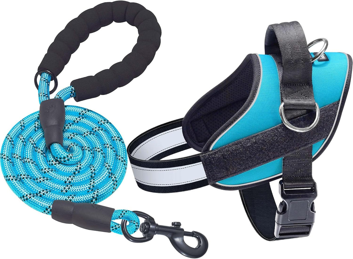 Haapaw Essential Dog Harness, No Pull Pet Vest with 3 Leash Clips, No Choke, Reflective, Adjustable