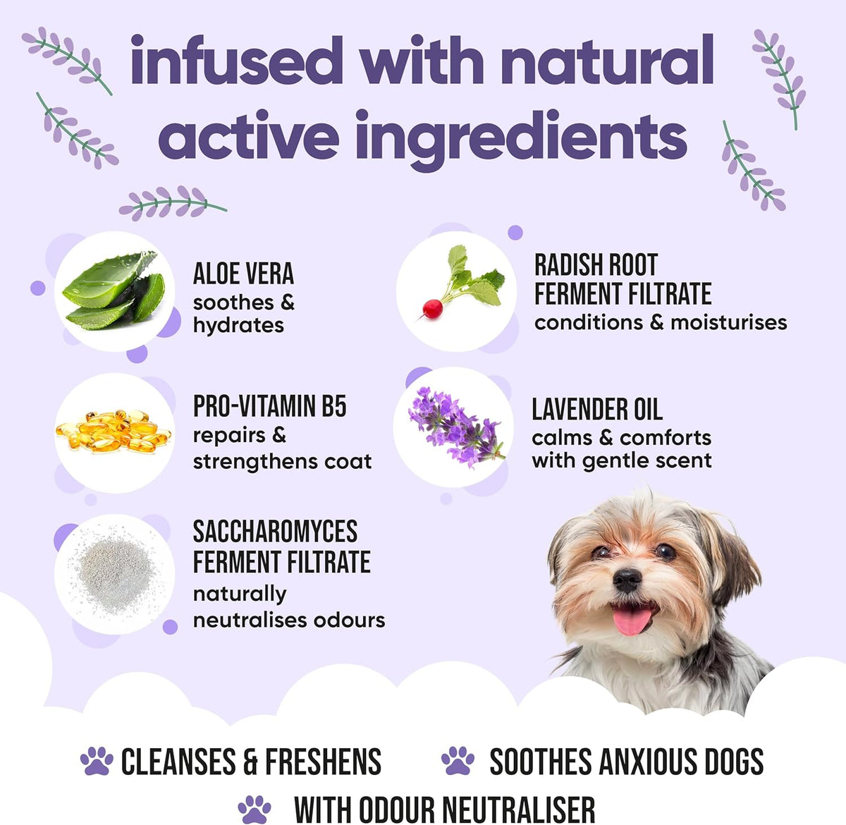 Calming & Deodorising Dog Shampoo by Buddycare | Lavender Scented | with Aloe Vera and Pro Vitamin
