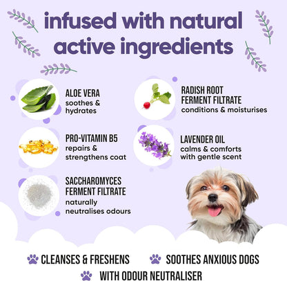 Calming & Deodorising Dog Shampoo by Buddycare | Lavender Scented | with Aloe Vera and Pro Vitamin