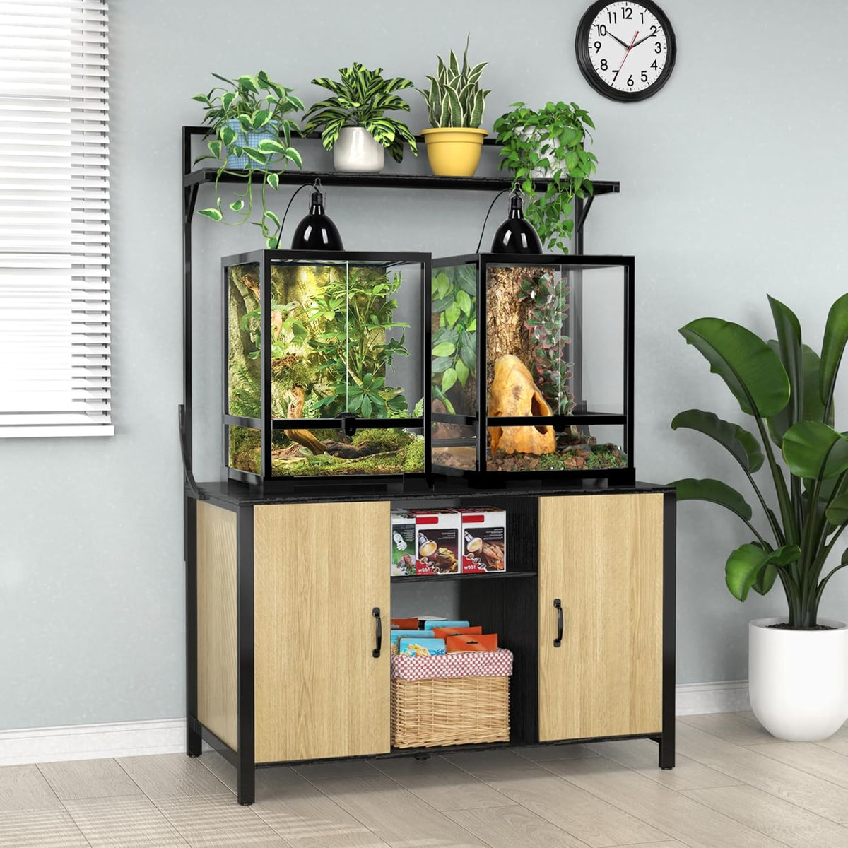GDLF Reptile Tank Stand Terrarium Stand with Cabinet for Accessories Storage 48" X 24" Tabletop