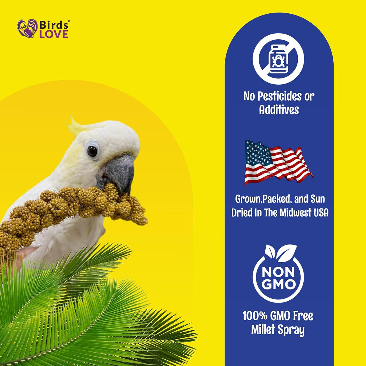Birds LOVE Economy & Thin Special Spray Millet GMO-Free (No Stems Only Edible Tops) for Birds