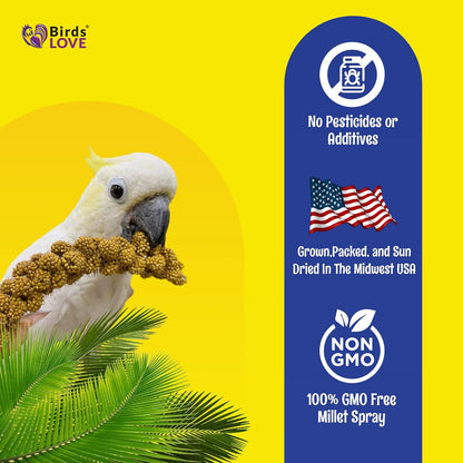 Birds LOVE Economy & Thin Special Spray Millet GMO-Free (No Stems Only Edible Tops) for Birds