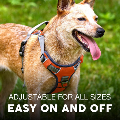 Embark Adventure Dog Harness, No-Pull Reflective Trim Dog Harness for Small, Medium & Large Dogs