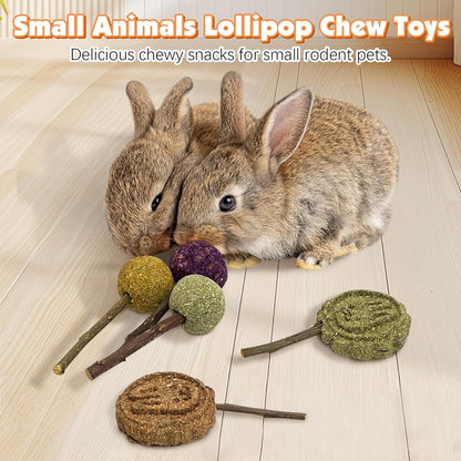 Fhiny Rabbit Chew Toys, 15 PCS Natural Bunny Lollipop Chew Sticks Handmade Guinea Pig Molar Treats