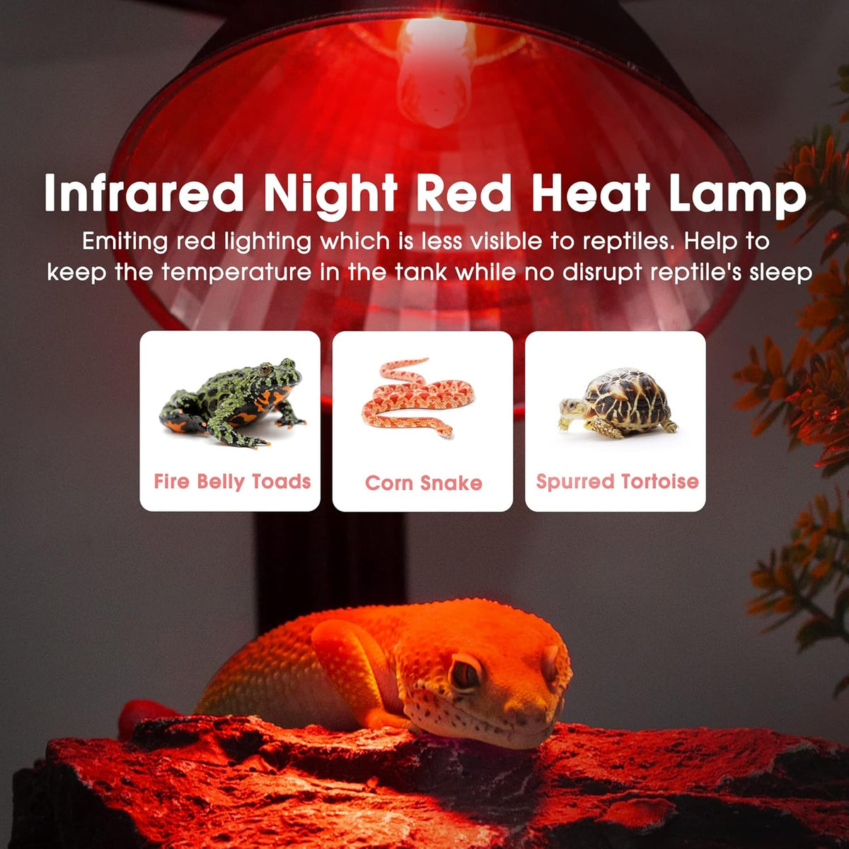 Briignite G9 Infrared Heat Lamp Bulbs for Reptile, Mini Reptile Light, Dimmable Night Red UVA