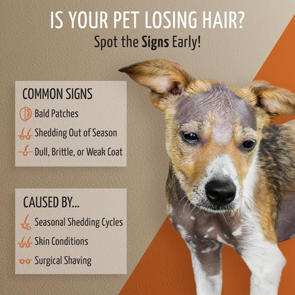 Tauro Pro Line Coat Growth Recovery Cream for Dogs & Cats – Strengthens Hair Roots & Boosts