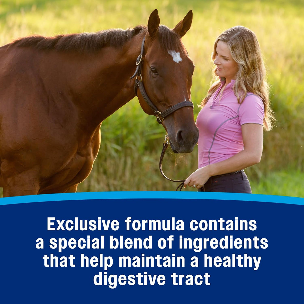 Farnam Hindgut Stabilizer Pellets, Daily Digestive & Immune Supplement for Horses Helps Maintain a