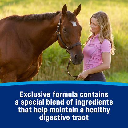 Farnam Hindgut Stabilizer Pellets, Daily Digestive & Immune Supplement for Horses Helps Maintain a