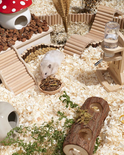 Niteangel Small Animal Snack & Treats - Small Critter Natural Treat for Dwarf Syrian Hamsters
