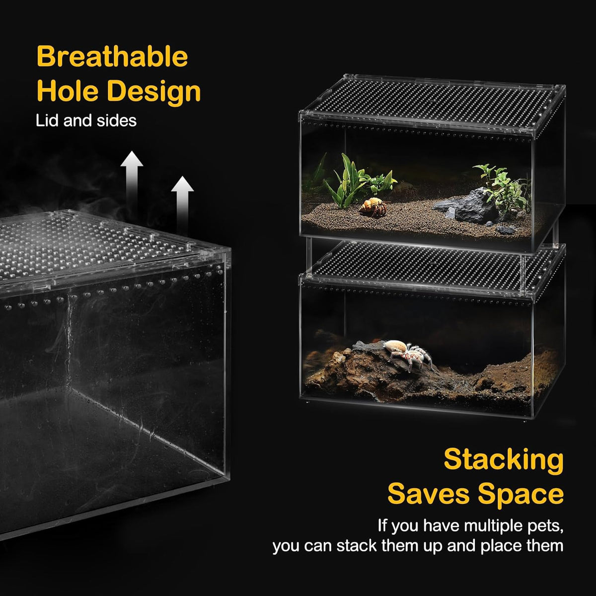 Reptile PC Terrarium,Spider Tank Starter Kit, Leopard Gecko Container,Tarantula Cage, Hermit Crab