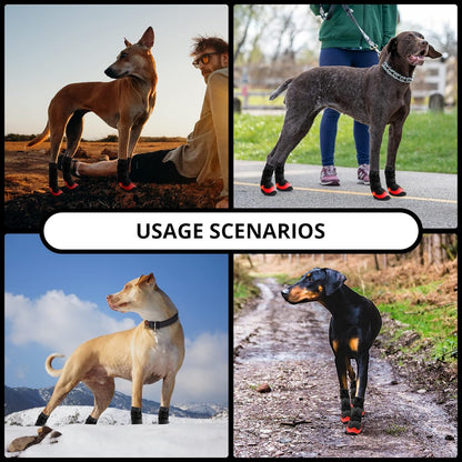 Dog Shoes for Hot Pavement Anti-Slip Dog Boots & Paw Protectors for Summer Rainy Day Dog Snow Boots
