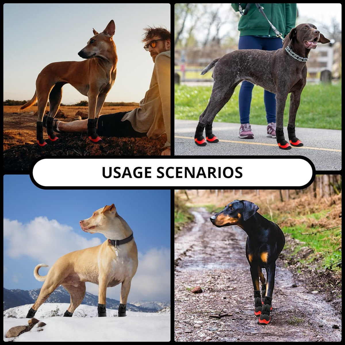 Dog Shoes for Hot Pavement Anti-Slip Dog Boots & Paw Protectors for Summer Rainy Day Dog Snow Boots
